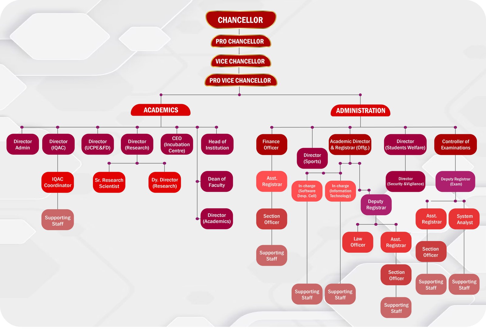 organization-structure